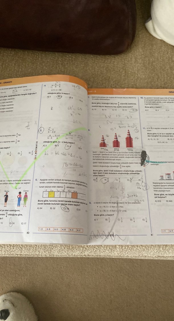 Problemlerin İlacı - Tamamı Çözümlü Testler Kitabı - Görsel 4