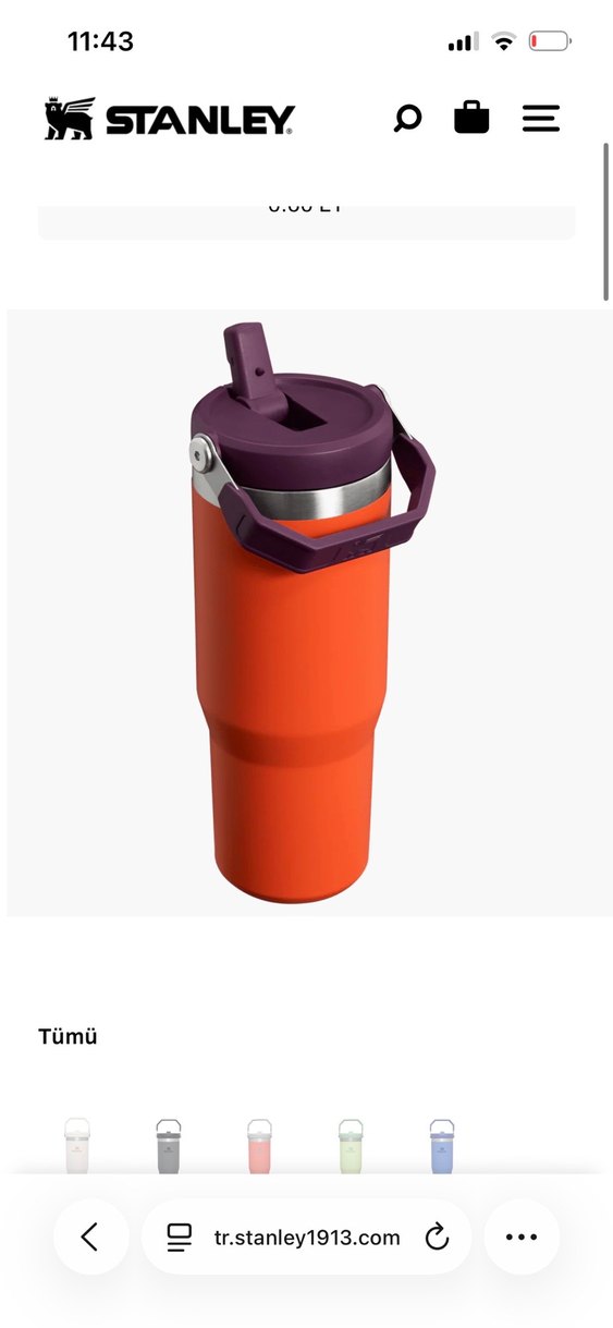Stanley Renkli Turuncu Termos - Görsel 2