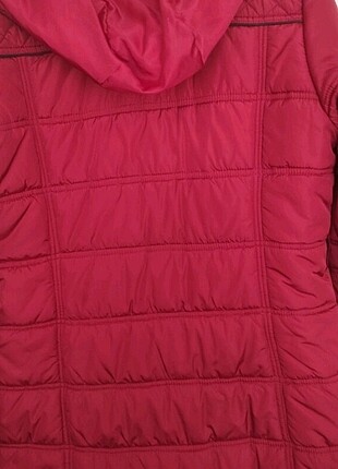 U.S Polo Assn. Kışlık mont