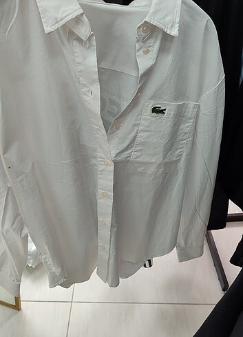 m Beden Lacoste Gömlek 