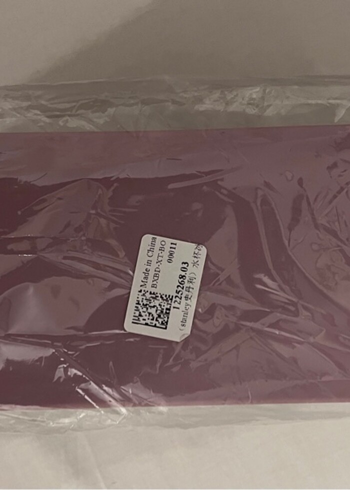 BUZ KALIBI İÇİN STANLEY CUP - Görsel 3