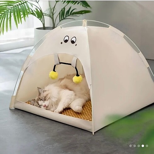 Kedi Çadırı