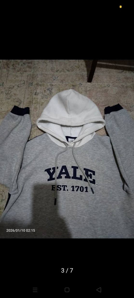 Gri Kapüşonlu Yale Baskılı Sweatshirt - Görsel 3