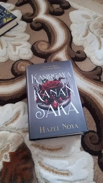 Kasırgaya kanan saka