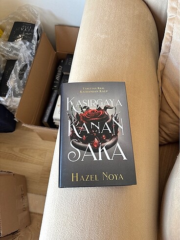 Kasırgaya kanan saka
