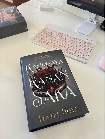 Kasırgaya kanan saka