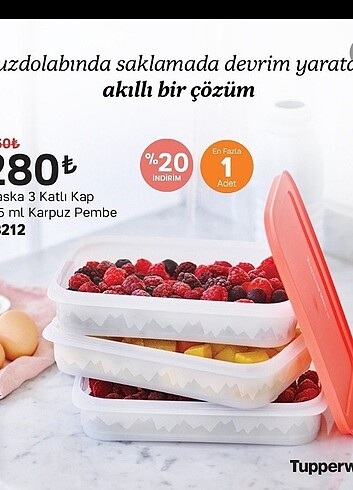 Tupperware Alaska 3 lu