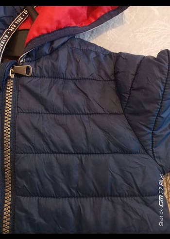 Erkek Çocuk Kapüşonlu Lacivert Mont - Görsel 3