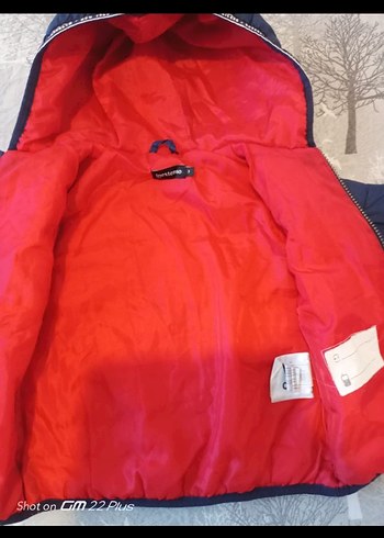 Erkek Çocuk Kapüşonlu Lacivert Mont - Görsel 5