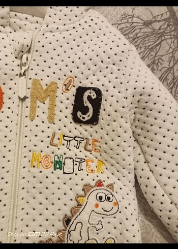Bebek Hırka kapşonlu sweat - Görsel 3