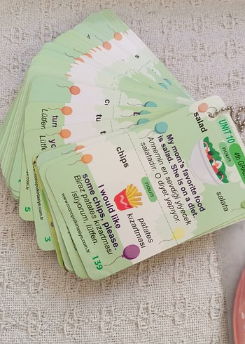 Pastel Yeşil Eğitim ingilizce Kartları Seti
