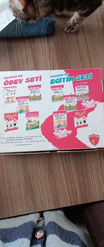 Çalışkan Arı Eğitim Seti