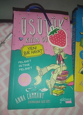 Hikaye kitabı 