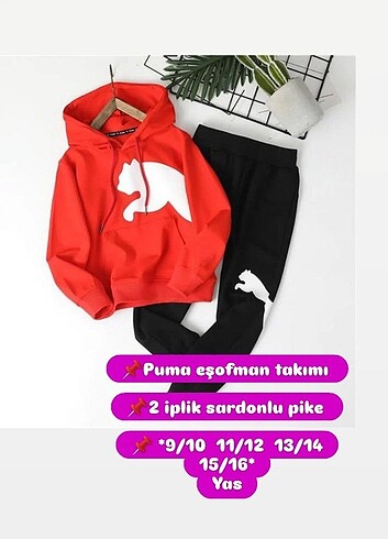 Puma esortman takimi 