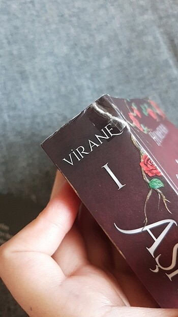 Beden Renk Aşiyam virane