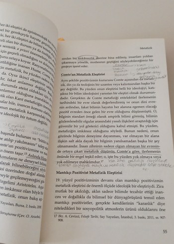  Beden Renk Felsefeye Giriş - Ahmet Cevizci