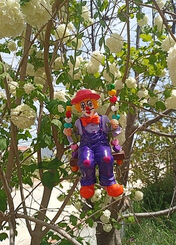 Sallanan Palyaço 
