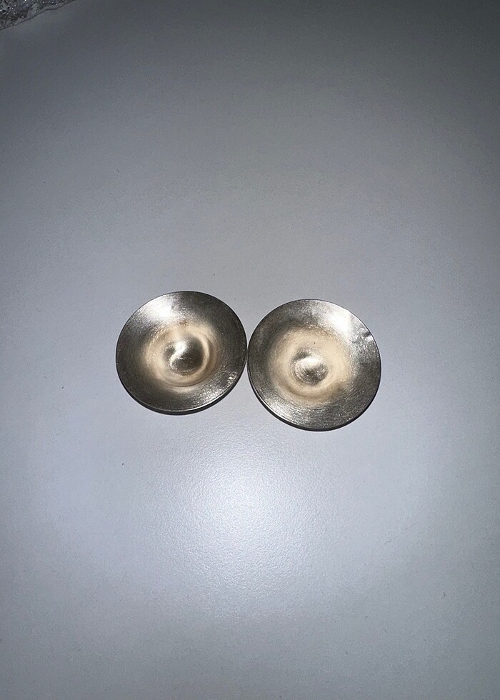 Gümüş göğüs kapak - Görsel 2