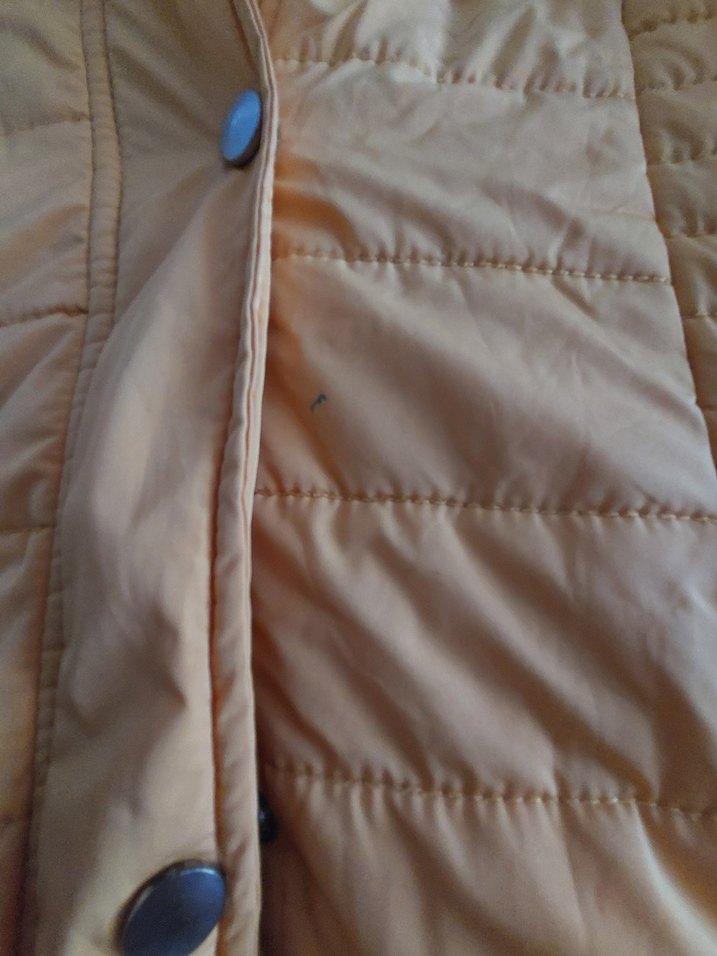 Sarı Düğmeli Kadın Kışlık Mont - Görsel 2