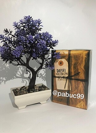 Diğer Diesel fuel for life parfüm