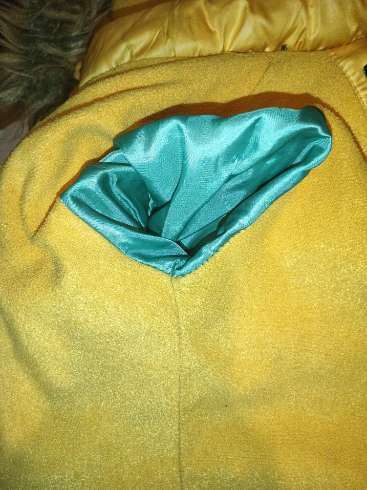 Sarı Erkek Çocuk Kürklü Mont - Görsel 4