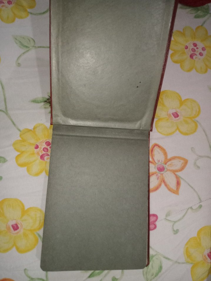 antika vintage fotoğraf albümü ayasofya işlemeli - Görsel 2