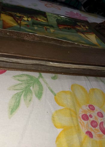 Parlak Çok Renkli Deniz Manzaralı antika fotoğraf albümü - Görsel 5