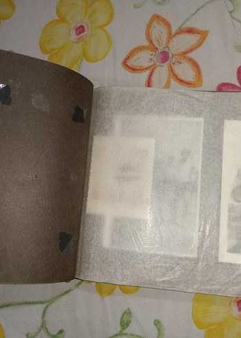 Parlak Çok Renkli Deniz Manzaralı antika fotoğraf albümü - Görsel 4