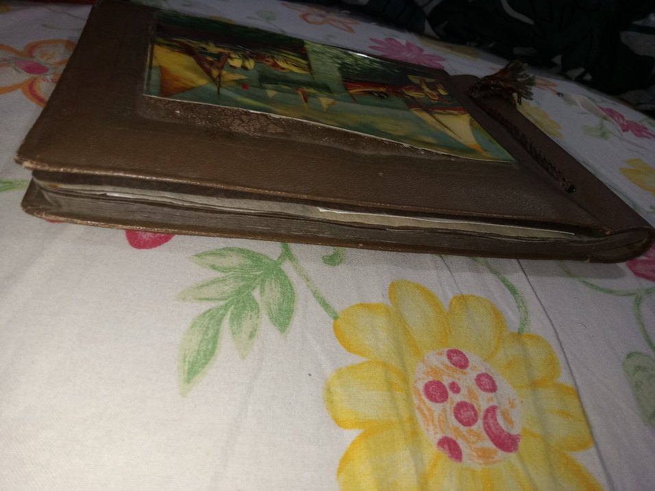 Parlak Çok Renkli Deniz Manzaralı antika fotoğraf albümü - Görsel 5