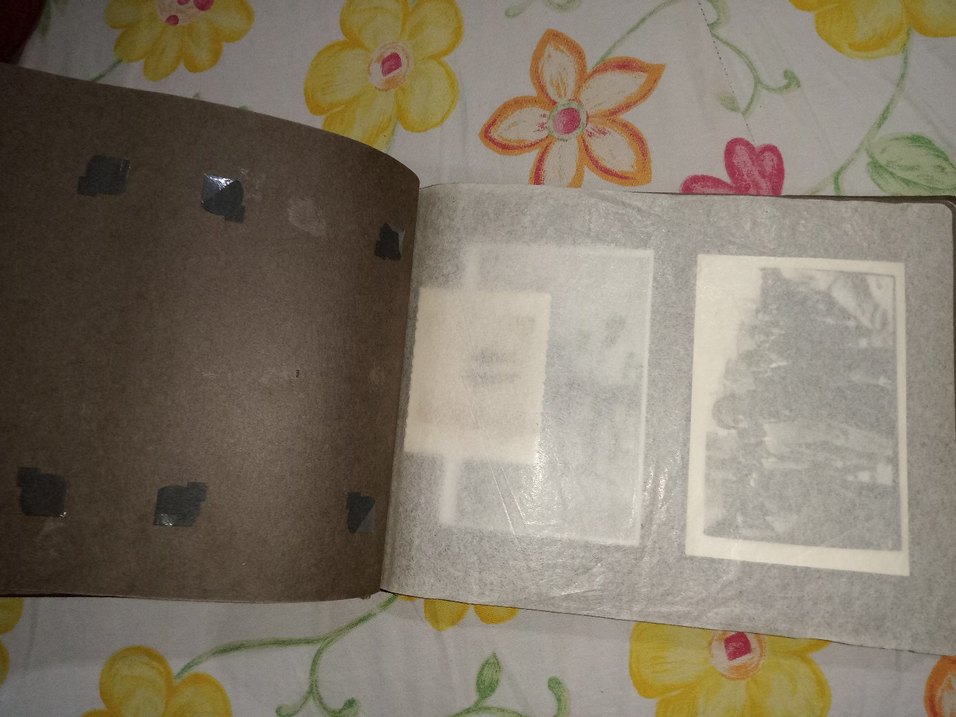 Parlak Çok Renkli Deniz Manzaralı antika fotoğraf albümü - Görsel 4