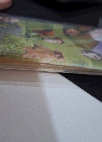 Çok Renkli Sokak Stili Telefon Kılıfı - Görsel 2