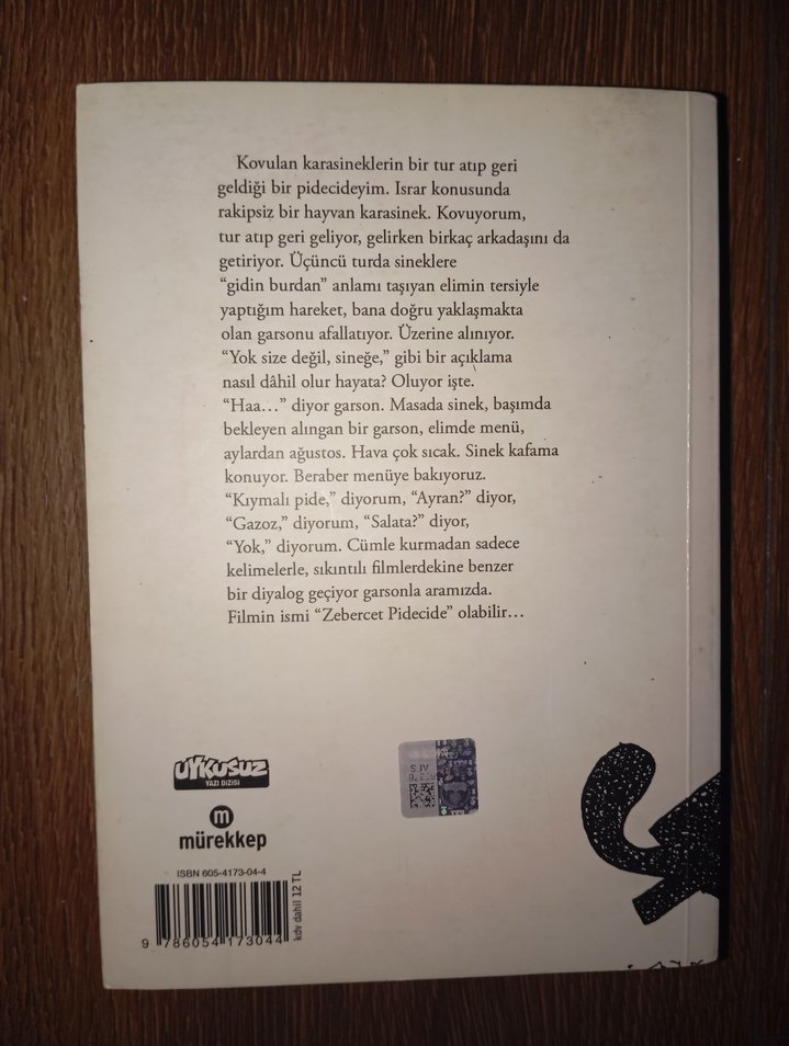 Kendimi Durduracak Değilim - Fırat Budacı - Görsel 2