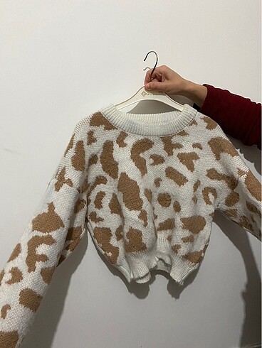 Camel cow kazak