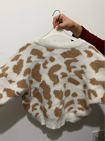 universal Beden Camel cow kazak