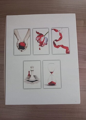 Alacakaranlık İngilizce kitap serisi