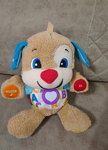 Beden eğitici köpekcik
