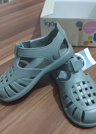 İgor tobby solid 