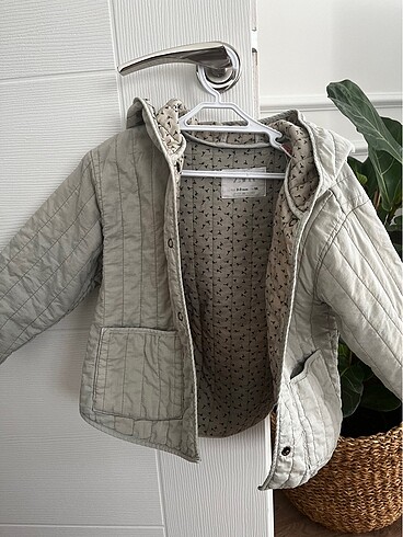 İnce zara mont