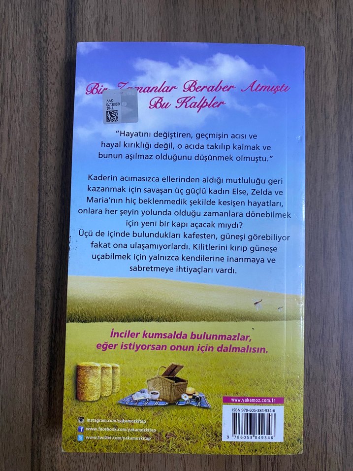 Bir Zamanlar Beraber Atmıştı Bu Kalpler - Anna Marchesini - Görsel 2