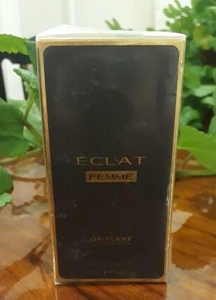 ECLAT FEMME 