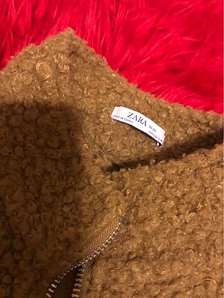 Zara polar