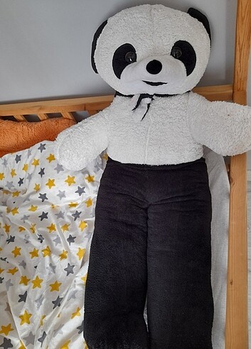 Peluş ayı