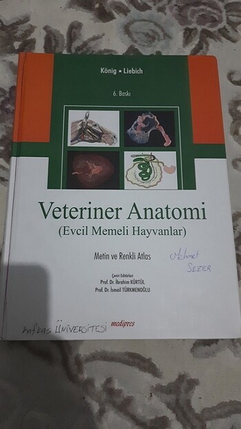 Veteriner Anatomi Atlası (Evcil Memeli Hayvanlar)