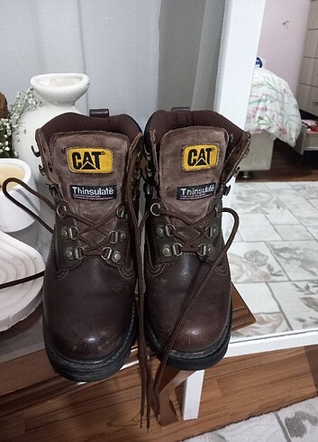 36 Beden CAT BOT