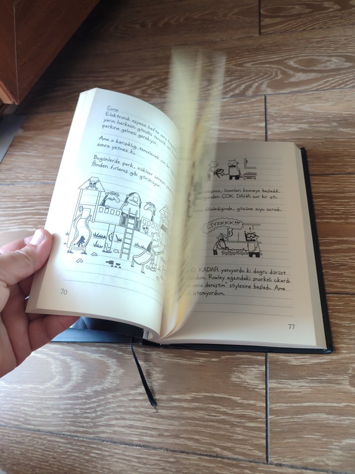 Saftirik Greg'in Günlüğü - Tam Bir Felaket! - Görsel 5