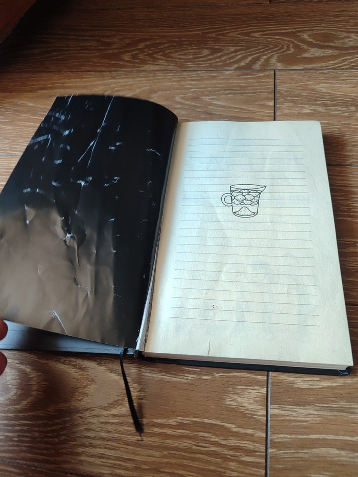 Saftirik Greg'in Günlüğü - Tam Bir Felaket! - Görsel 3