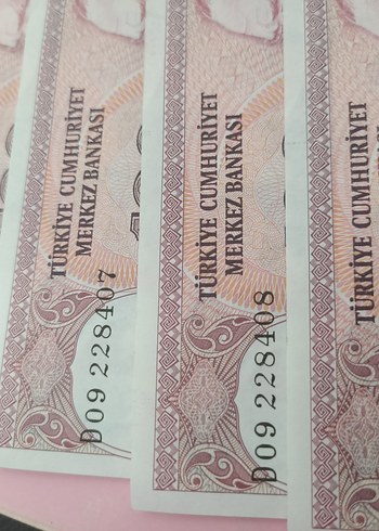 koleksiyon 100 TL Banknot seri - Görsel 4