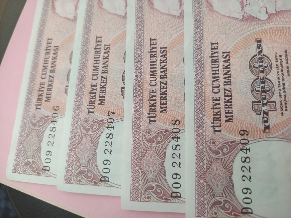 koleksiyon 100 TL Banknot seri - Görsel 4