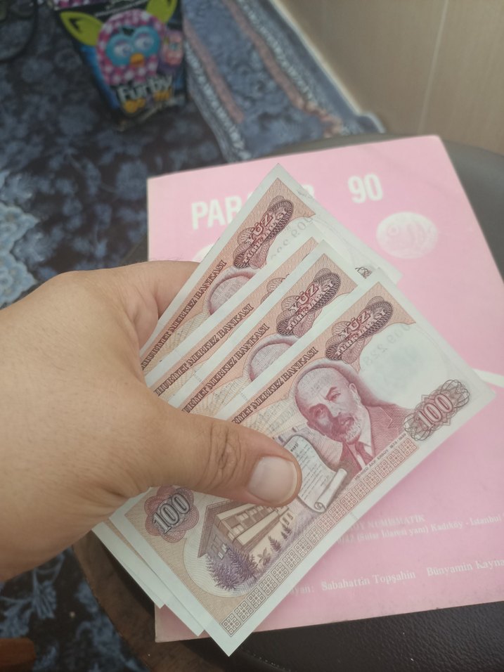 koleksiyon 100 TL Banknot seri - Görsel 2