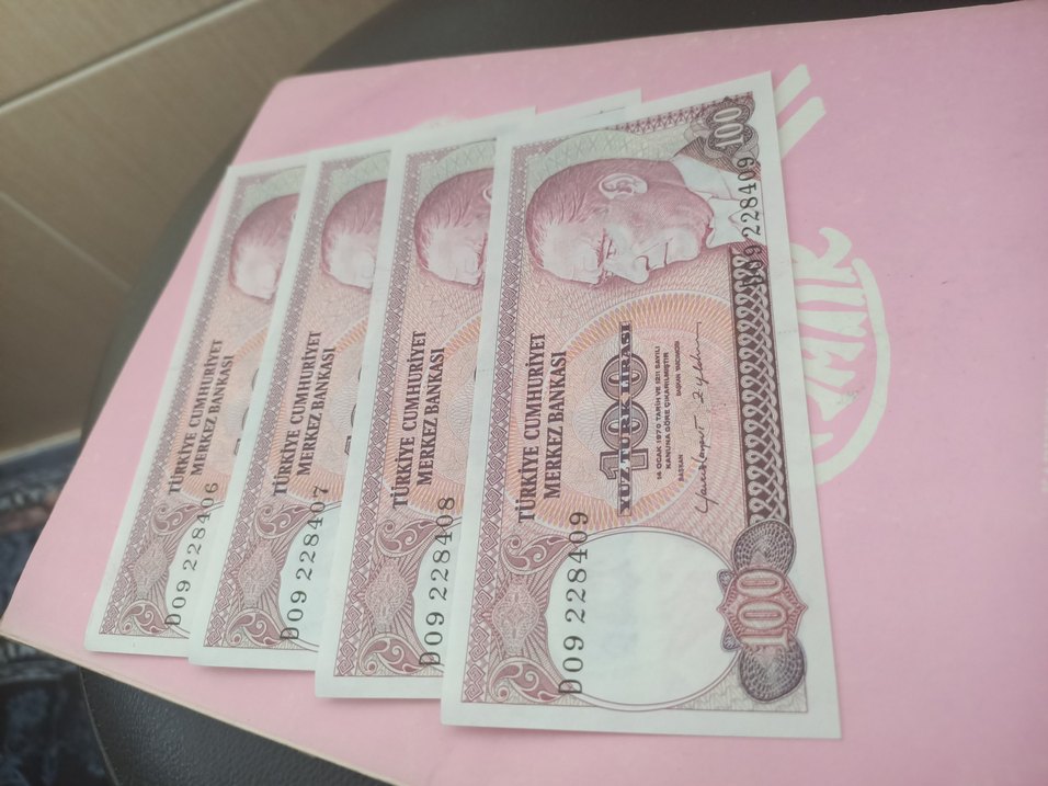koleksiyon 100 TL Banknot seri - Görsel 3
